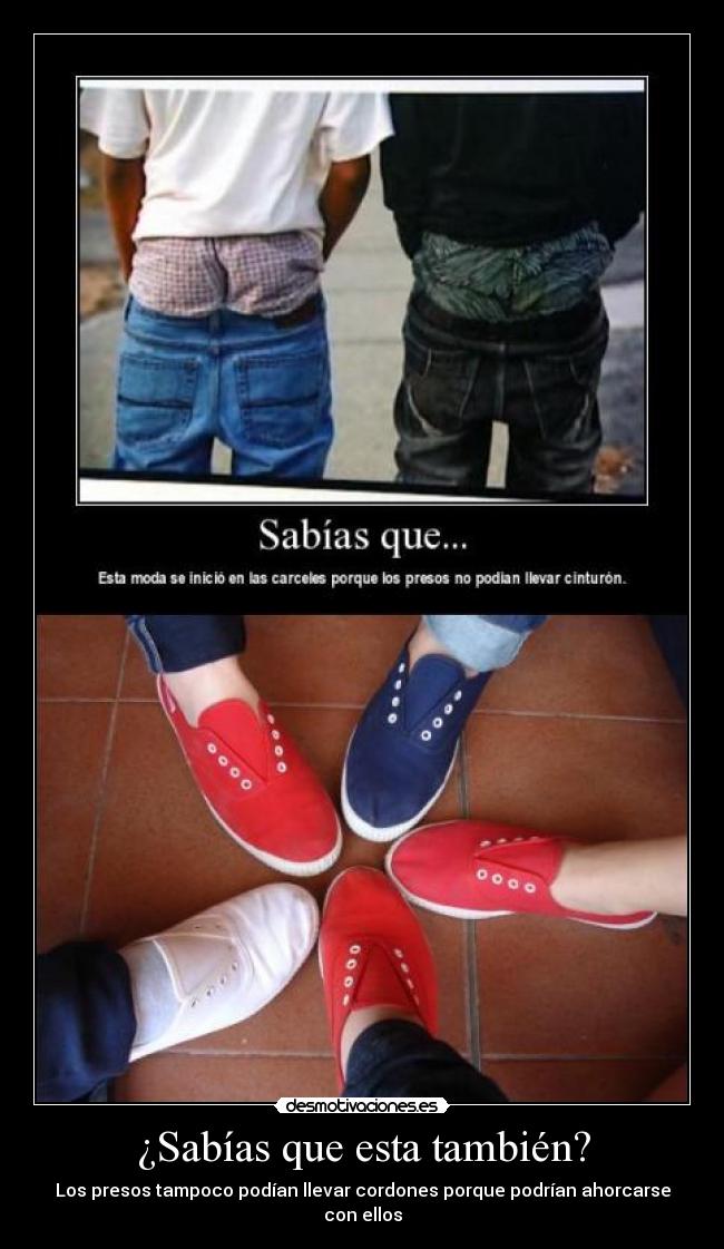 ¿Sabías que esta también? -