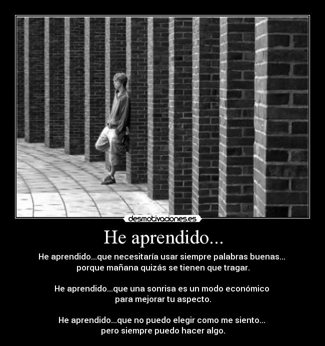 carteles aprendido desmotivaciones