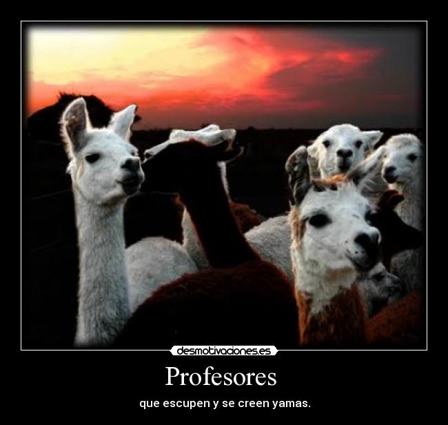 Profesores -