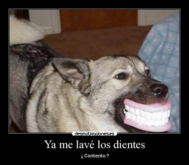 Ya me lavé los dientes - ¿ Contento ?