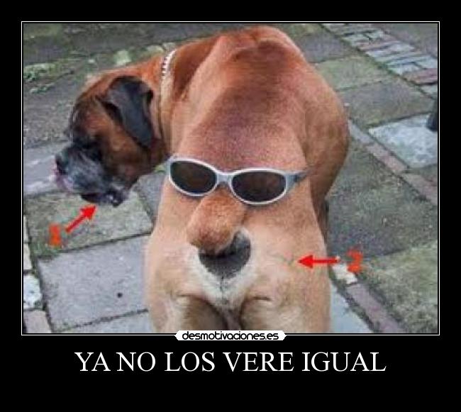 YA NO LOS VERE IGUAL -