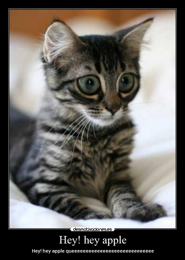 Hey! hey apple - 