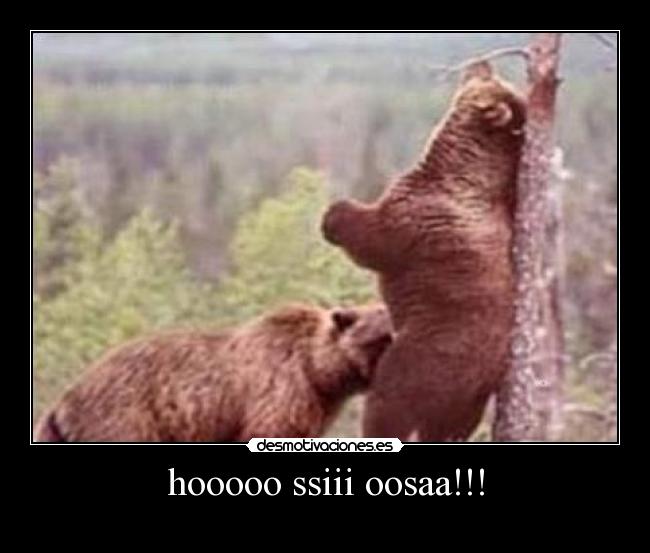 hooooo ssiii oosaa!!! -