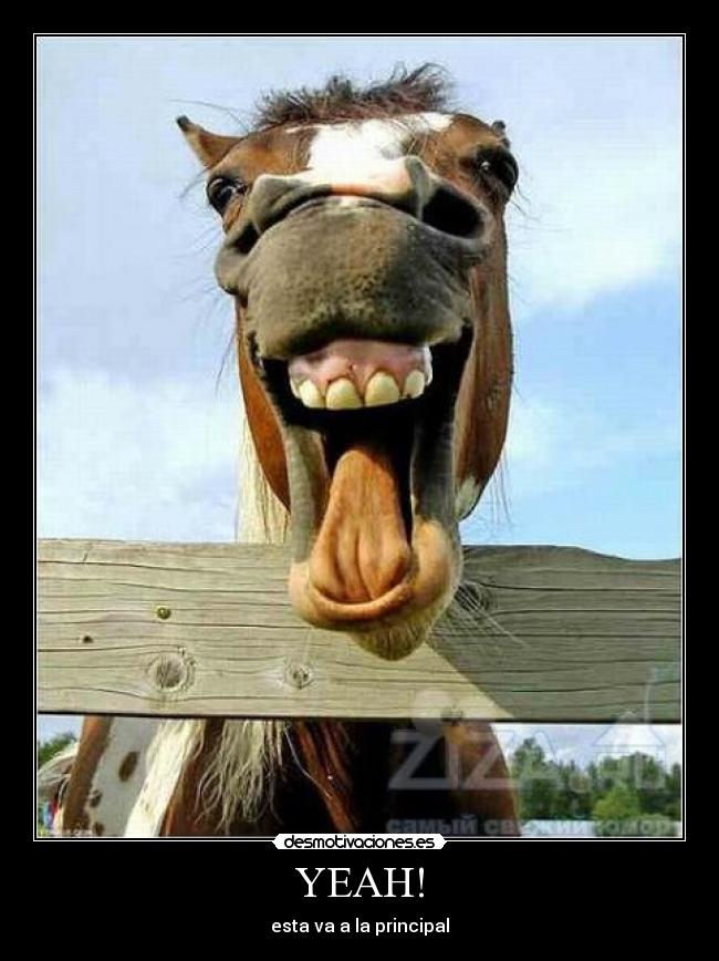 YEAH! - esta va a la principal