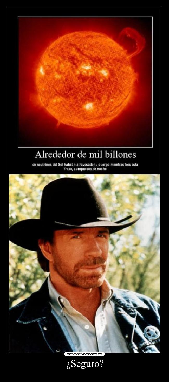 carteles chuck norris desmotivaciones