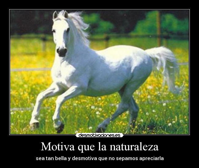 Motiva que la naturaleza -