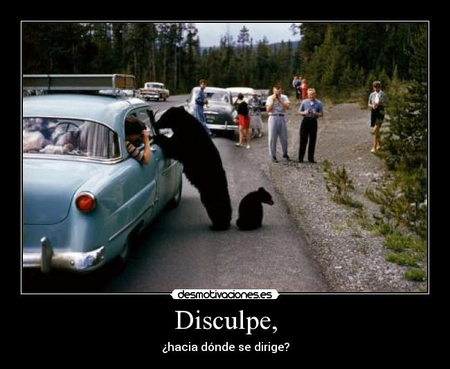 Disculpe, - ¿hacia dónde se dirige?