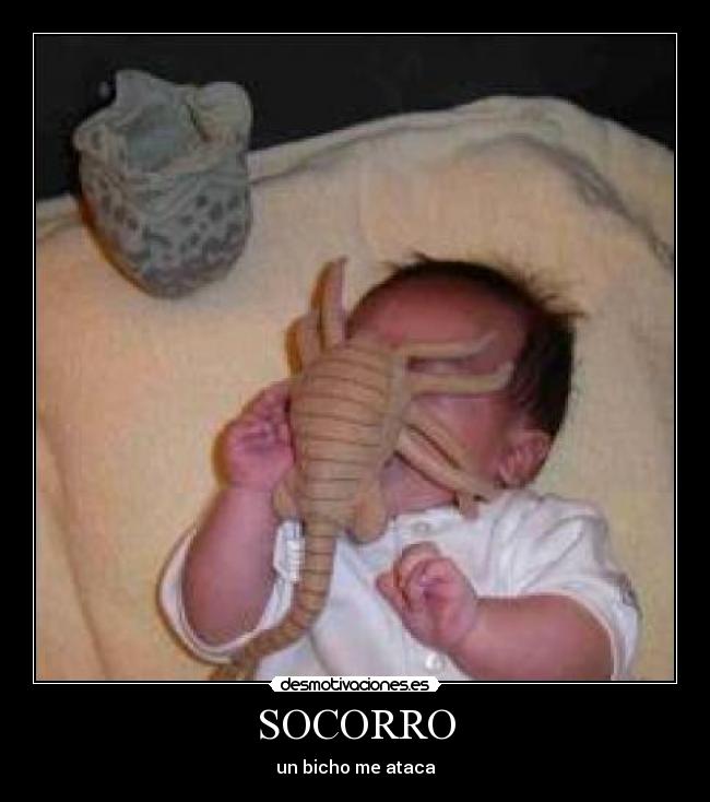 carteles risitasydajaja desmotivaciones