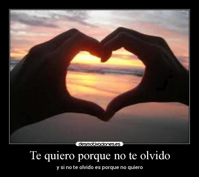 Te quiero porque no te olvido -