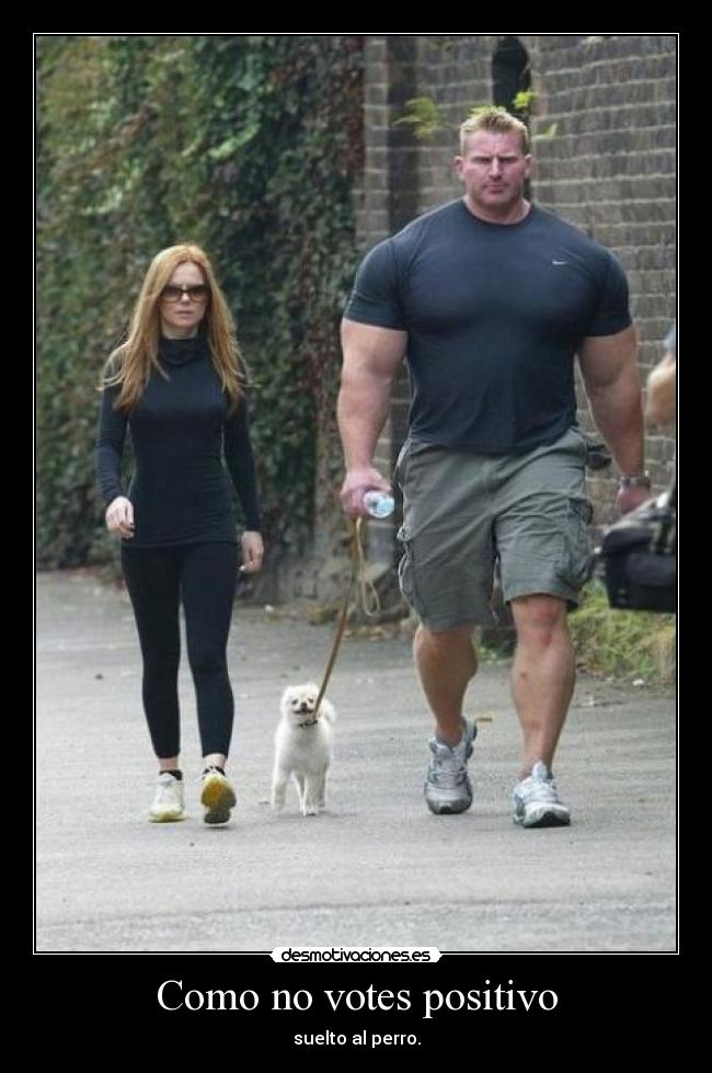 Como no votes positivo - suelto al perro.