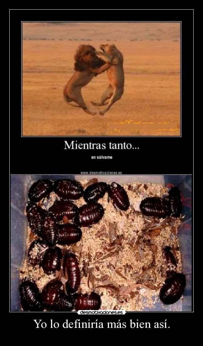 Yo lo definiría más bien así. -