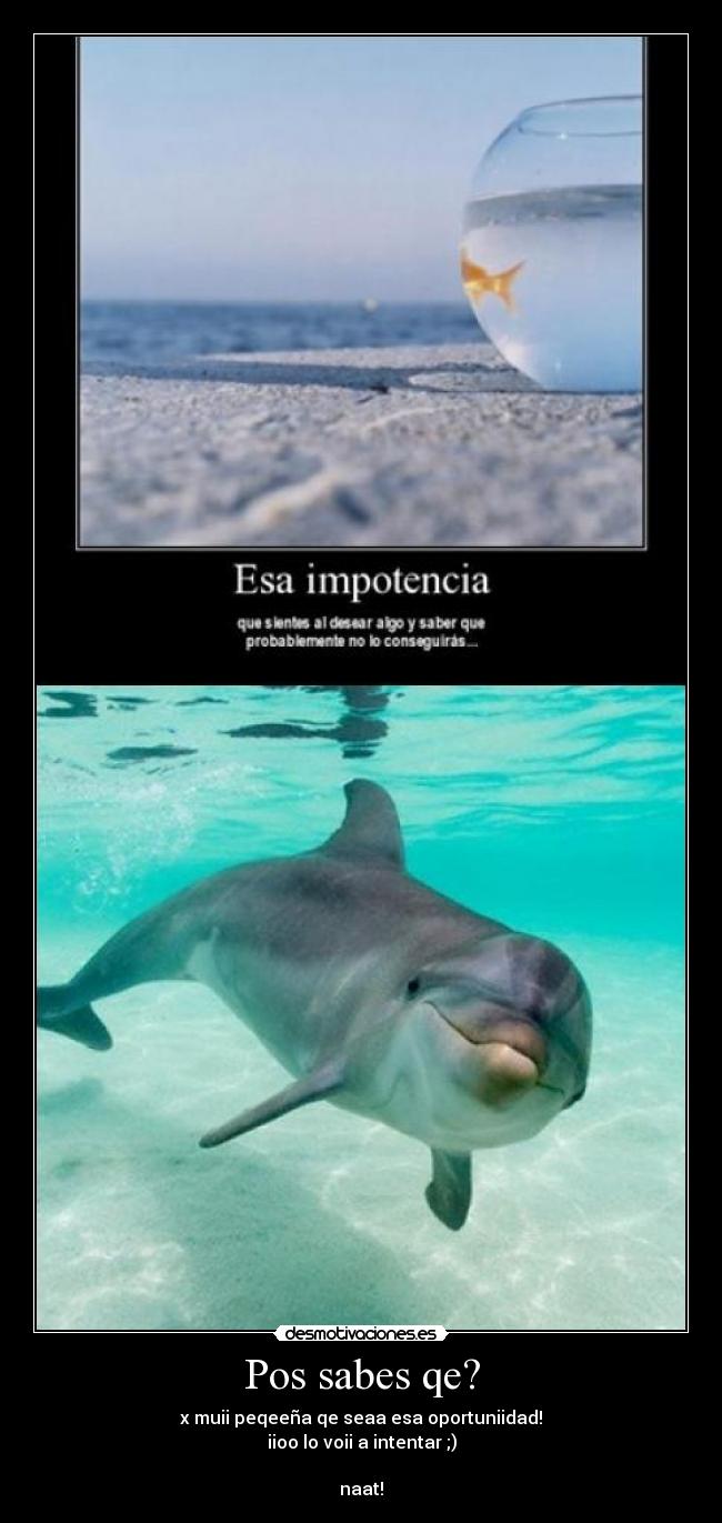 Pos sabes qe? - 