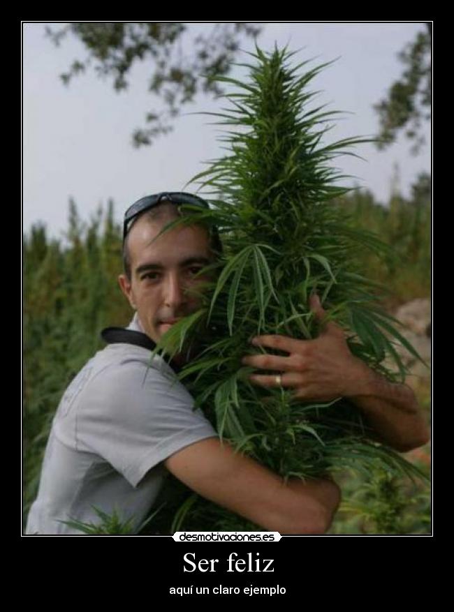 Ser feliz -
