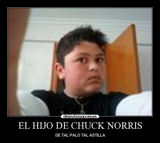 EL HIJO DE CHUCK NORRIS - DE TAL PALO TAL ASTILLA