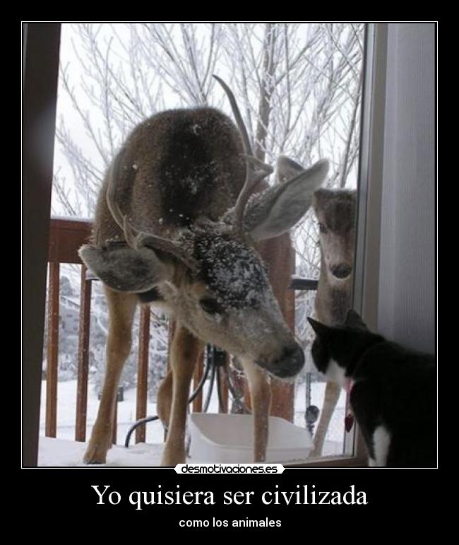 Yo quisiera ser civilizada - como los animales