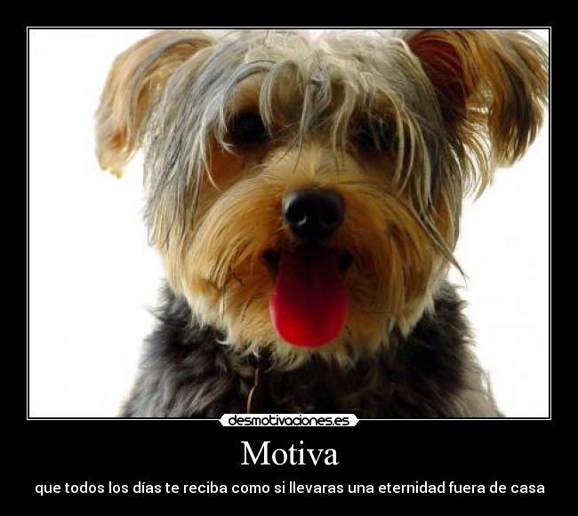 Motiva - 