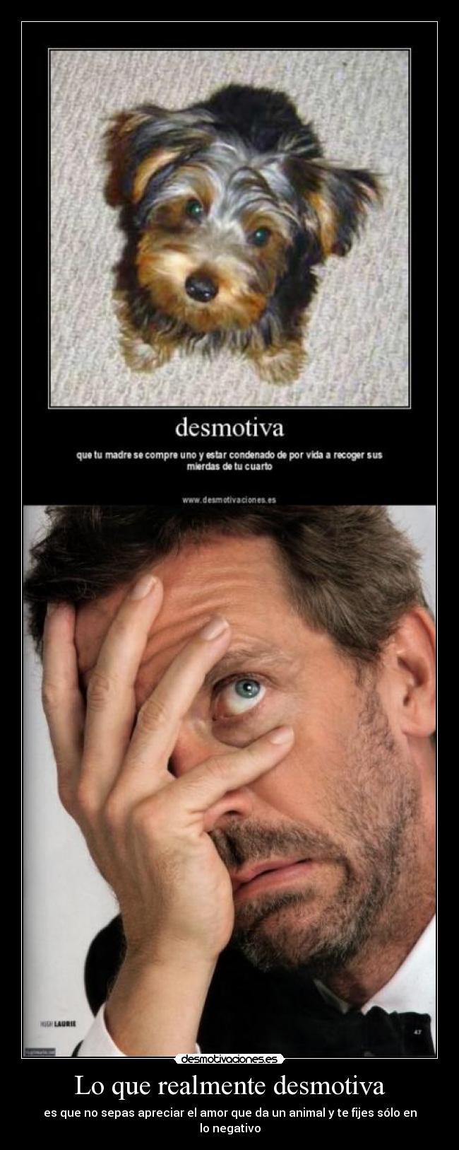 Lo que realmente desmotiva - 