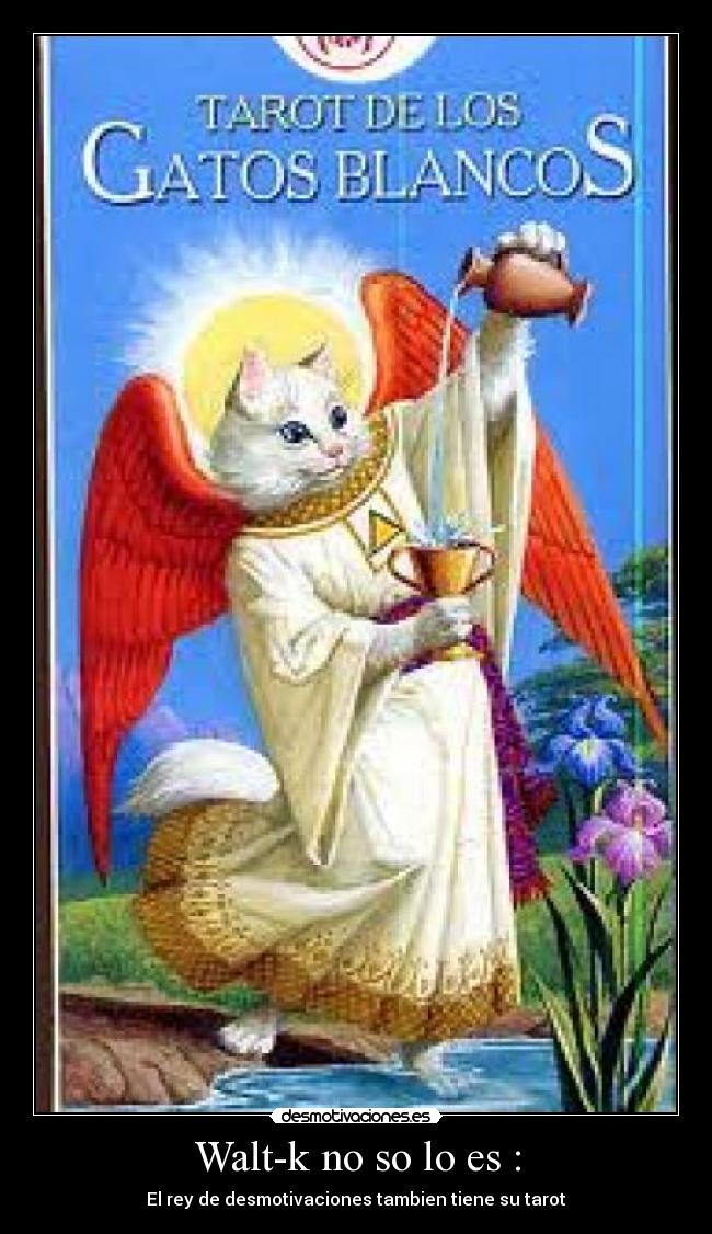 Walt-k no so lo es : - 