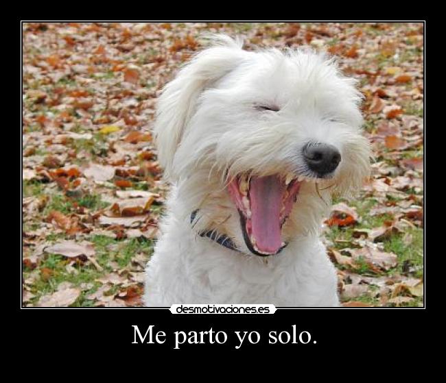 carteles walt_k desmotivaciones