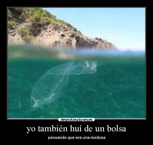 yo también huí de un bolsa -