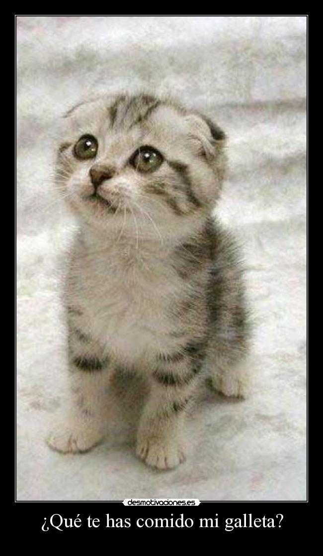 ¿Qué te has comido mi galleta? -