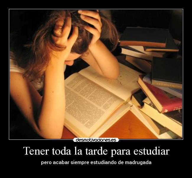 Tener toda la tarde para estudiar - 