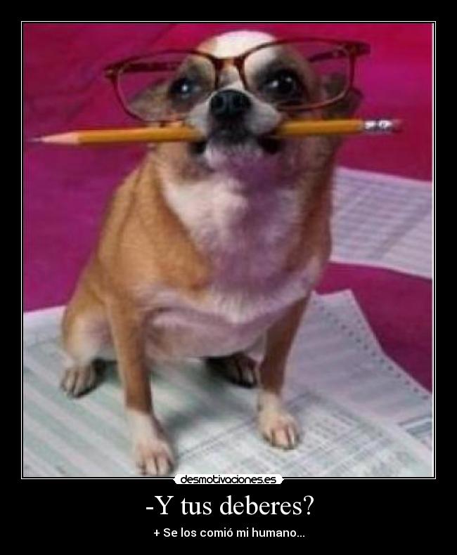 -Y tus deberes? -