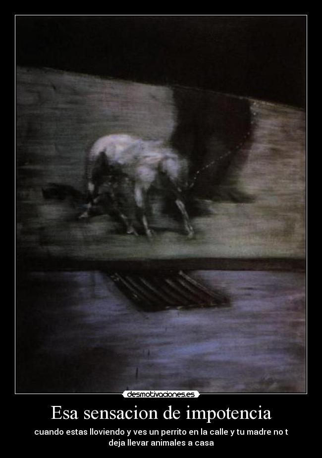 Esa sensacion de impotencia - cuando estas lloviendo y ves un perrito en la calle y tu madre no t
deja llevar animales a casa