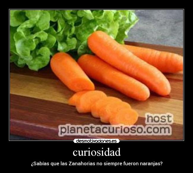 curiosidad -