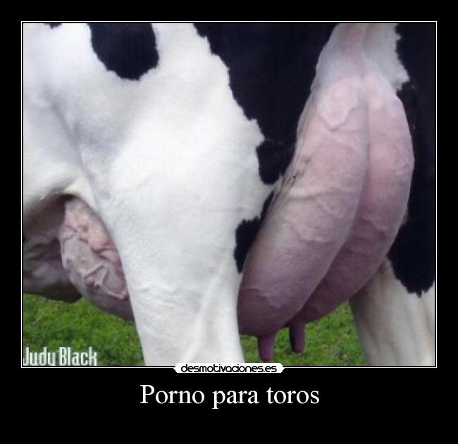 Porno para toros -