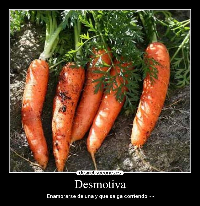 Desmotiva - Enamorarse de una y que salga corriendo ¬¬