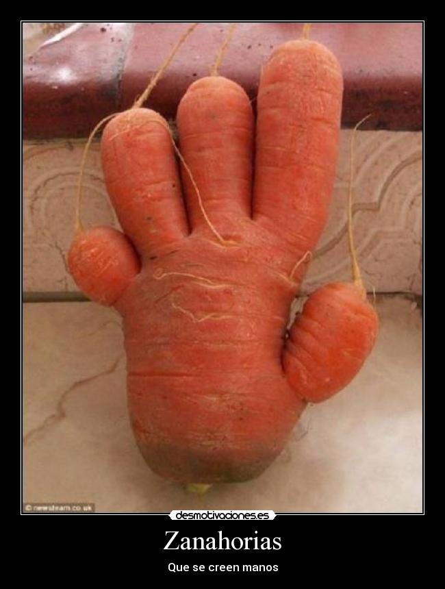 Zanahorias - 