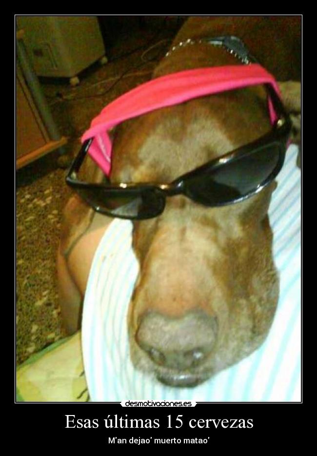 Esas últimas 15 cervezas - Man dejao muerto matao