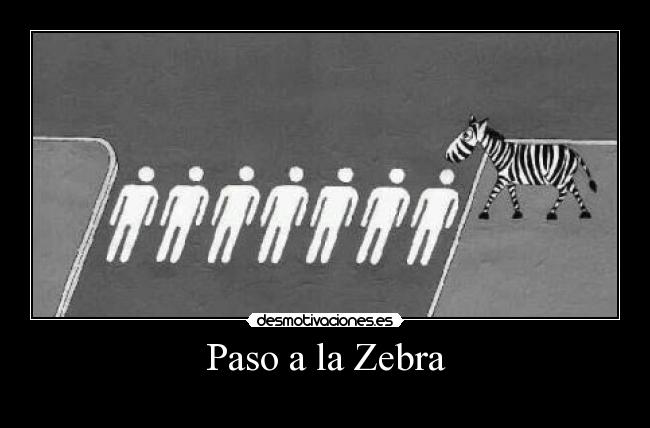 Paso a la Zebra -