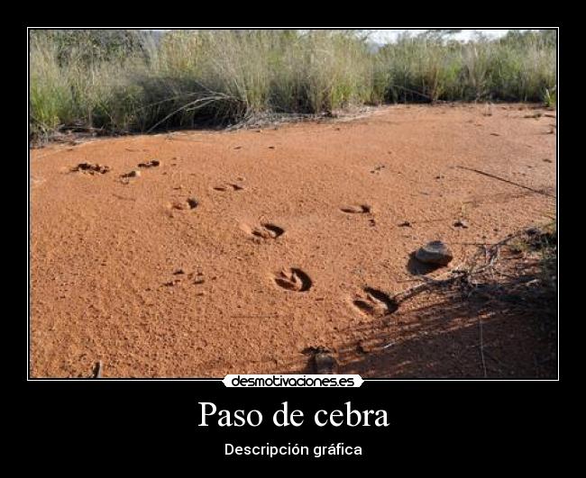 Paso de cebra - Descripción gráfica