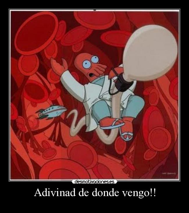 Adivinad de donde vengo!! - 