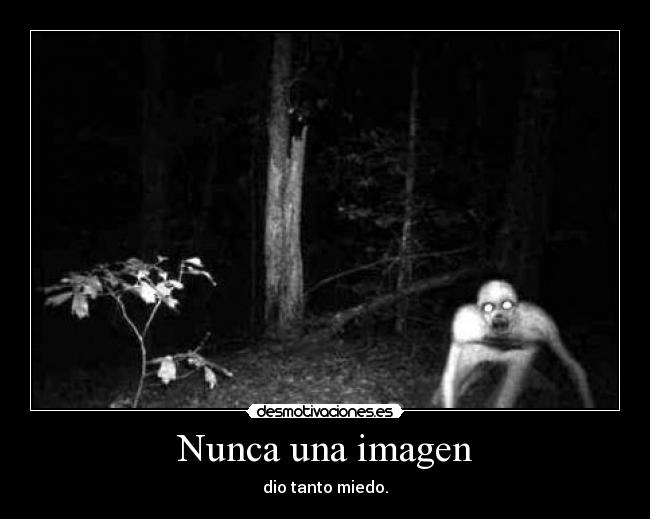 Nunca una imagen - dio tanto miedo.