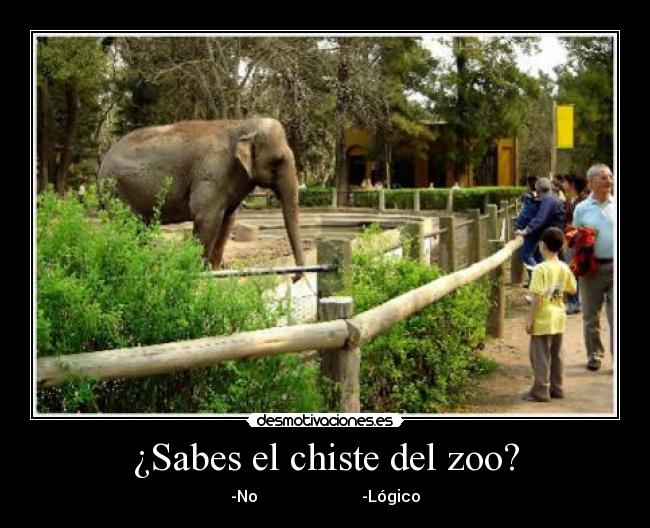 ¿Sabes el chiste del zoo? - 