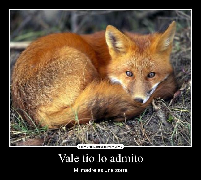 Vale tio lo admito - Mi madre es una zorra