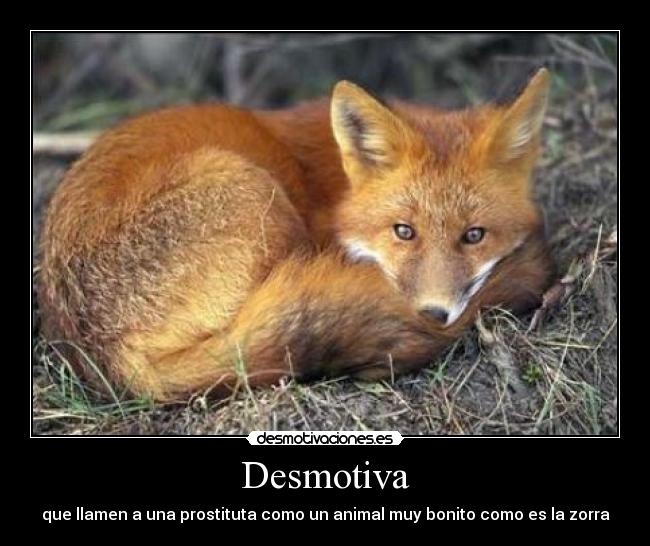 Desmotiva - que llamen a una prostituta como un animal muy bonito como es la zorra