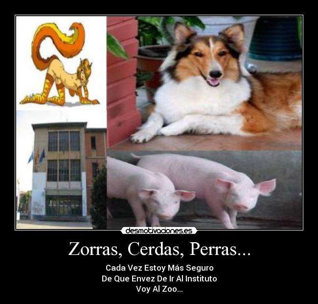 Zorras, Cerdas, Perras... - Cada Vez Estoy Más Seguro
De Que Envez De Ir Al Instituto
Voy Al Zoo...