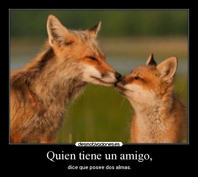 Quien tiene un amigo, - dice que posee dos almas.