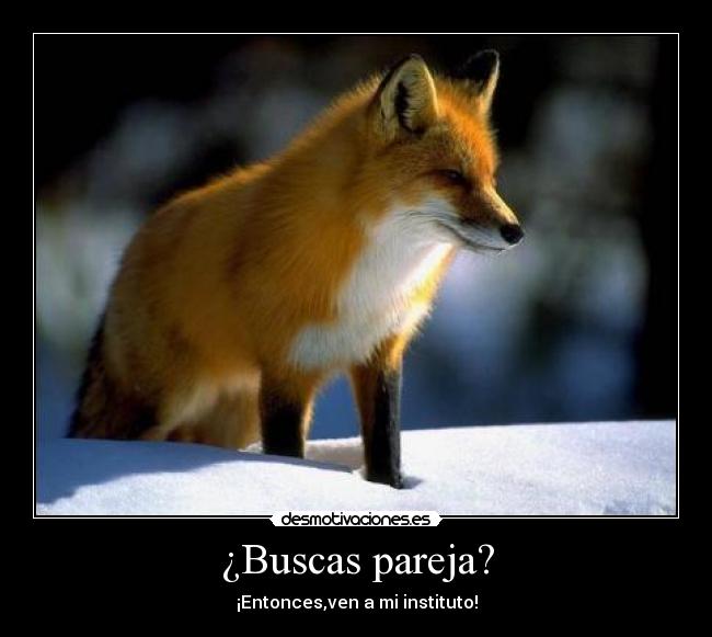 ¿Buscas pareja? - ¡Entonces,ven a mi instituto!