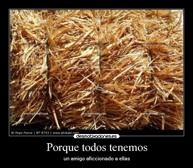 Porque todos tenemos -