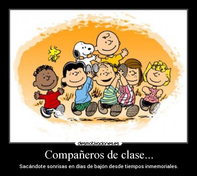 Compañeros de clase... -