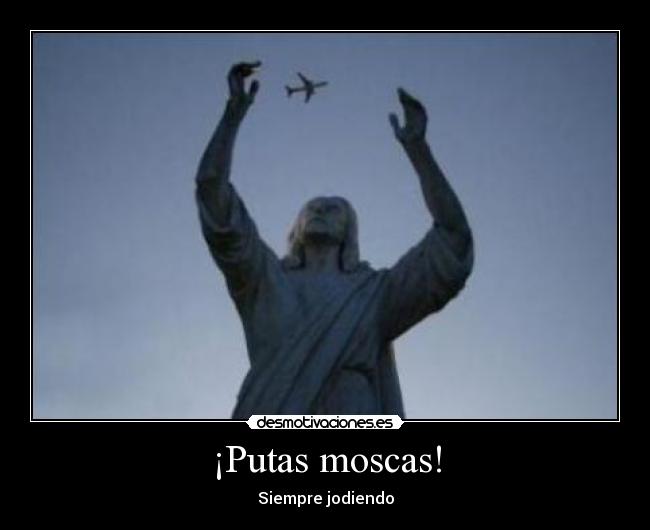 ¡Putas moscas! -