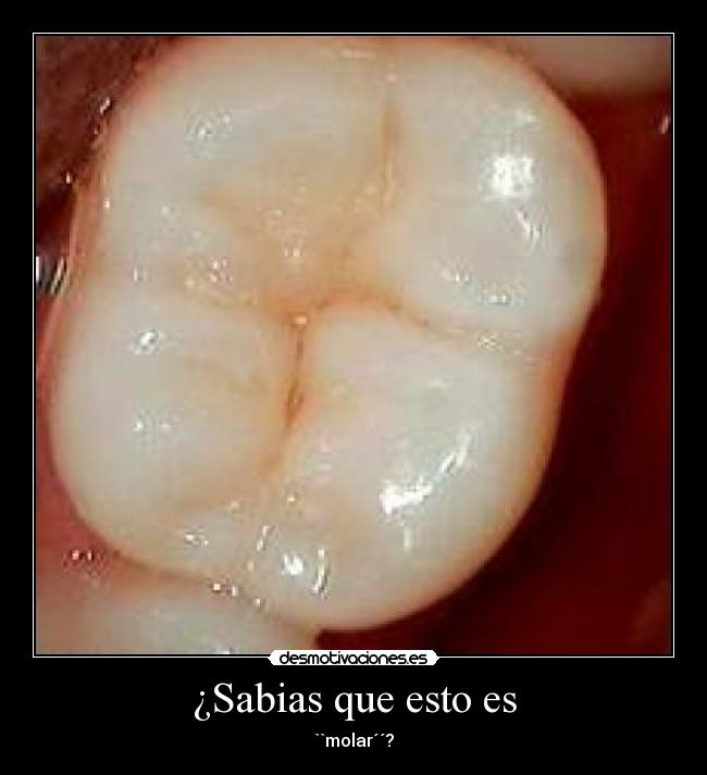 ¿Sabias que esto es -