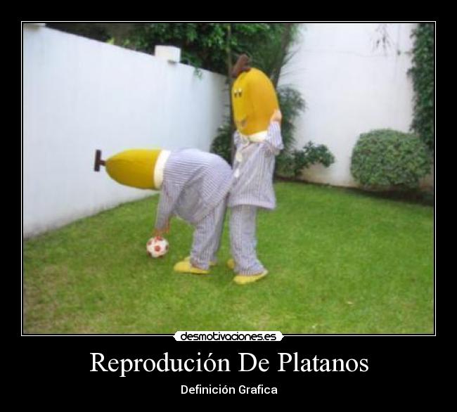 Reprodución De Platanos -