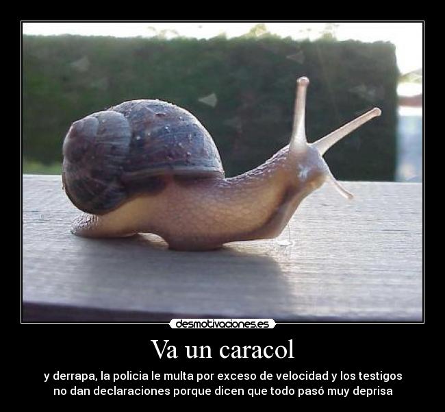 Va un caracol - y derrapa, la policia le multa por exceso de velocidad y los testigos
no dan declaraciones porque dicen que todo pasó muy deprisa
