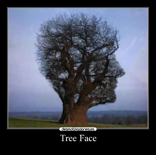Tree Face - 